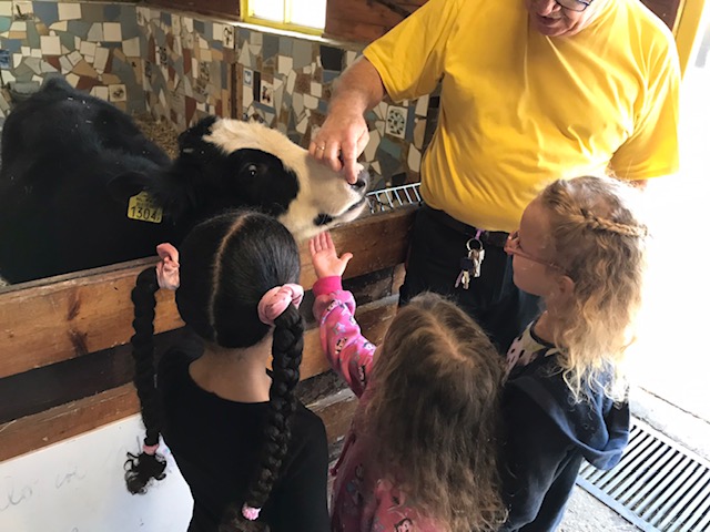 kinderboerderij 2